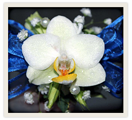 Blue Ribbon Corsage