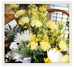 Yellow Carnations